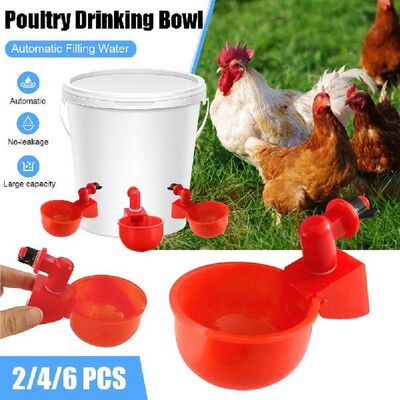 Automatic Chicken Water Cup Waterer Bowl Kit Farm Coop