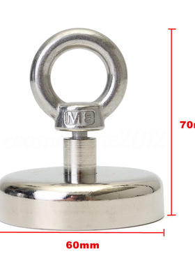 NdFeB Neodymium Recovery Magnet 60*70mm D60mm Magnets For Fi