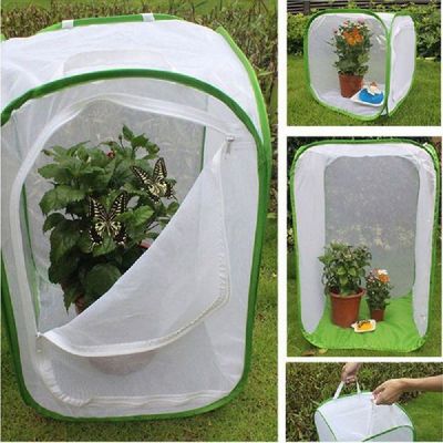 Collapsible Insect Cage Mesh Habitat Bird Butterfly Mantis