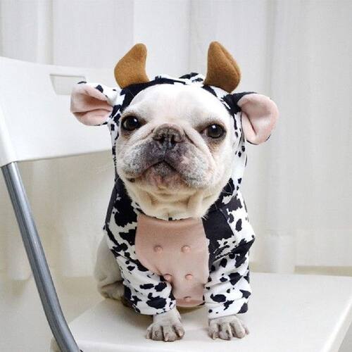 Funny Cow Style Pet Dog Clothes Winter Warm Pet Dog Cosplay