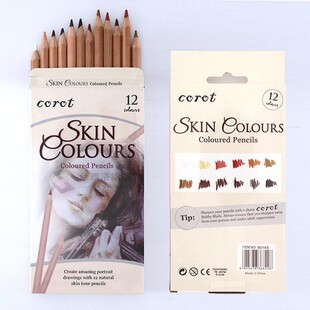 Professional 12Pcs Soft Pastel Pencil Set Wood Skin Color Pa