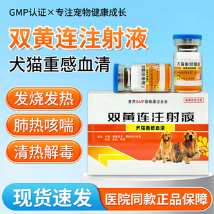 宠物犬猫重感血清双黄连注射液犬瘟细小猫狗流鼻涕黄鼻打喷嚏血便