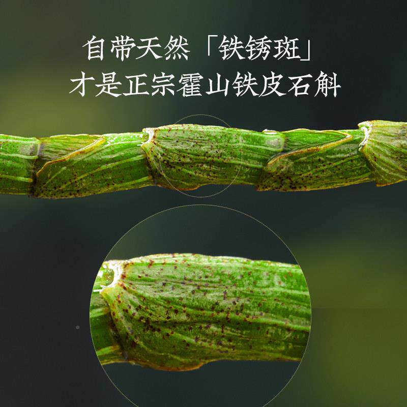 鲜霍山石斛鲜条正宗山皮铁石斛HKR枫斗霍石斛粉新的铁皮石斛鲜条5