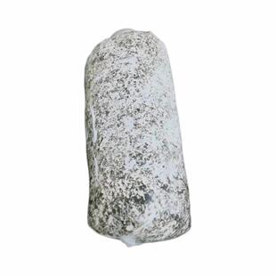 优质萌发菌拌花粉培蒴果育麻种0代种/天TLO麻菌种/天0代天麻培育