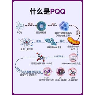 倍适 还官原型充辅YNO酶q10pqq线粒体补剂pqq细胞能营养素20mg方