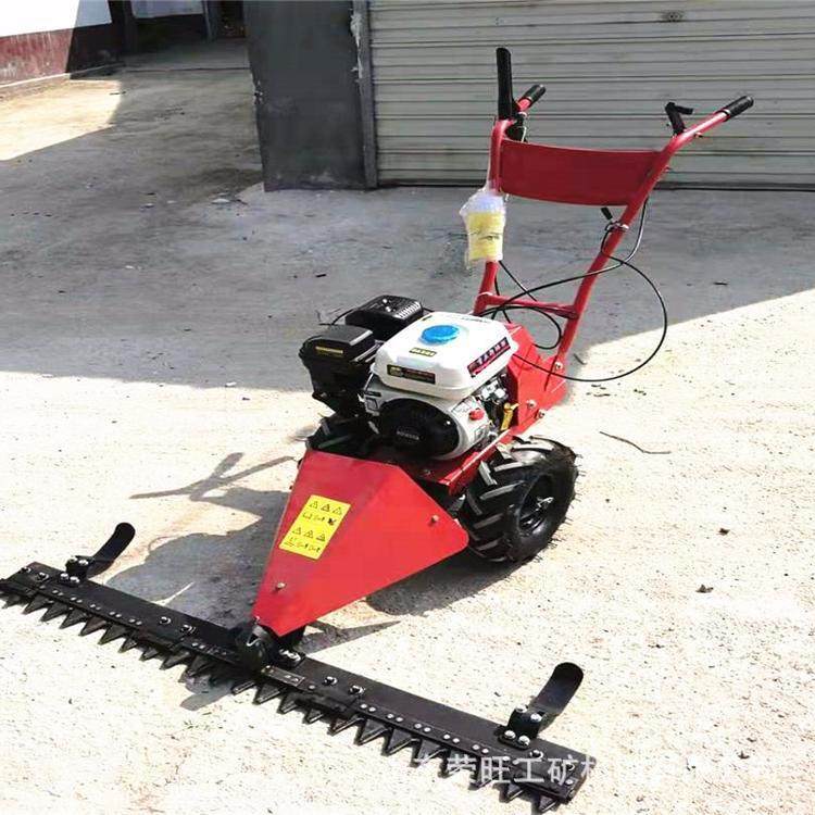 新款便携自走式碎草机小型手推剪草机手扶式汽油剪草机草坪修剪机,畜牧/养殖物资,畜牧/养殖器械,淘宝优惠券,粉丝福利购,淘宝优惠卷