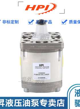 法国HPI液压齿轮泵P3BAN3020/3025/3031/3040/3050/3060/3071油泵
