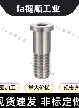 BGP BGPM 6 8 10-9 11 13 14 17-L20 L25 L30 L40 L50轴承止动销