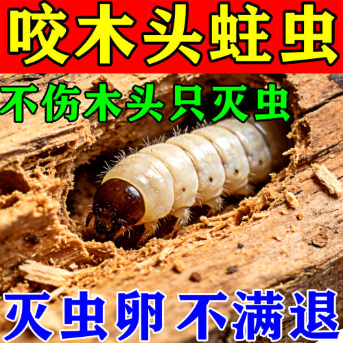 【防虫咬】蛀虫药杀虫剂家用