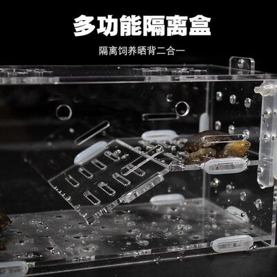 鱼缸内乌龟隔离盒发色压