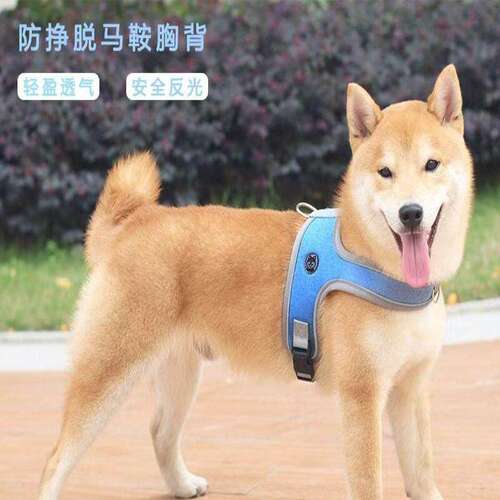 A7马鞍式胸背狗狗牵引绳
