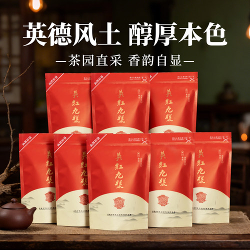 英红九号正宗英德红茶广东工夫茶1000克送礼