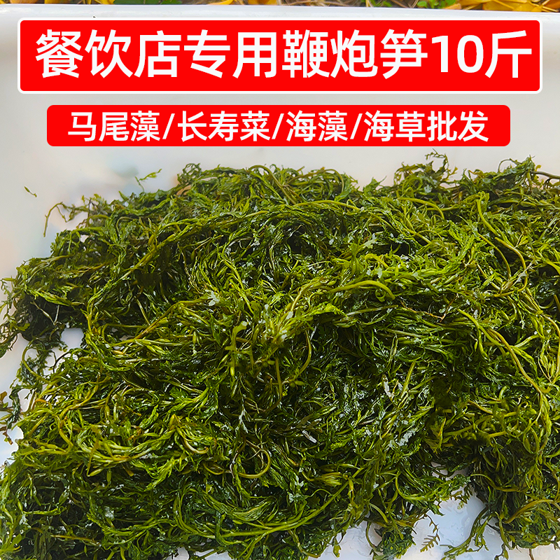 餐饮店专用鞭炮笋10斤盐渍海藻马尾草长寿菜火锅冒菜麻辣烫用海草
