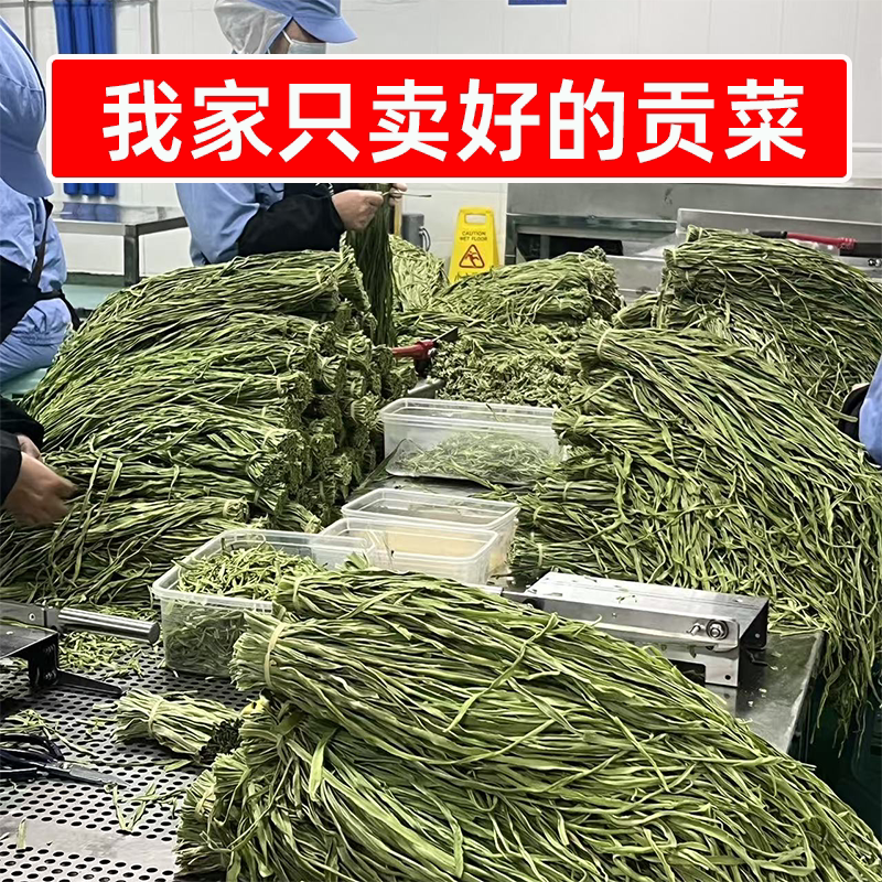 识蜀记精选云南贡菜干商用8斤大理农家贡菜脱水蔬菜火锅凉菜食材