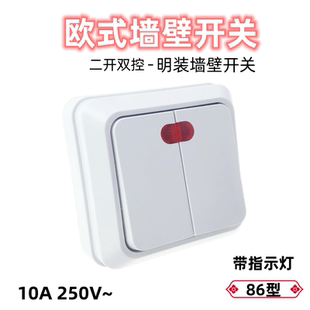 俄式/欧式两开双控明装墙壁开关86型10A250A墙壁开关带指示灯