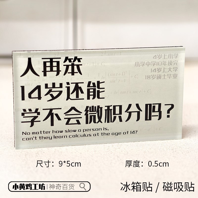 人再笨14岁还能学不会微积分吗磁吸贴冰箱贴钱学森名人名言装饰品