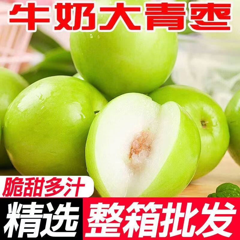 福建贵妃蜜枣牛奶枣9斤新鲜现摘水果大青枣装脆甜精选大枣整箱发