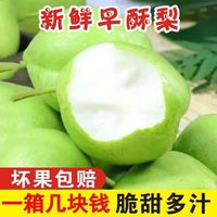 陜西早酥梨梨子新鮮10斤當(dāng)季水果雪梨香甜水晶青梨整箱包郵翠冠梨