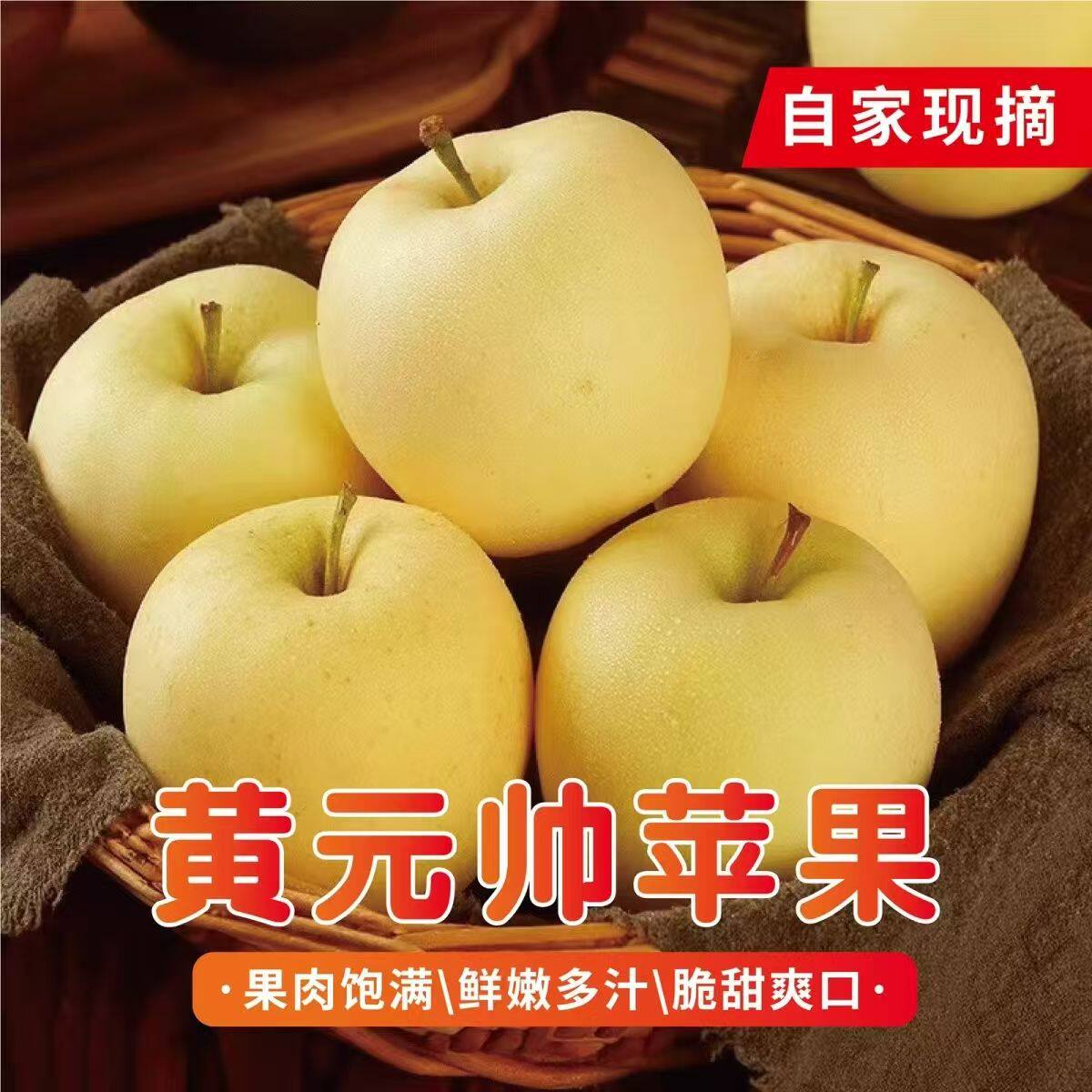 黄元帅苹果新鲜水果黄金帅应季粉面宝宝辅食刮泥丑苹果