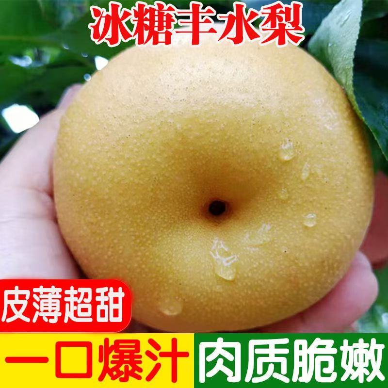 正宗丰水梨薄皮新鲜冰糖梨子水果脆甜多汁批发当季鲜果包邮