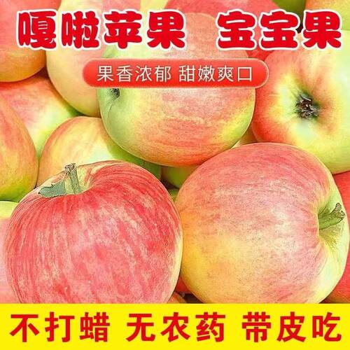 嘎啦苹果新鲜水果当季整箱山西运城红富士小苹果5斤冰糖心丑苹果