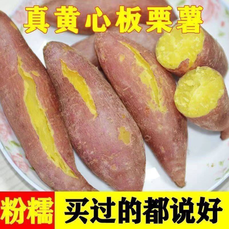 陕西板栗薯红薯新鲜3/5/10斤整箱红薯临潼沙地白心农家番薯小地瓜
