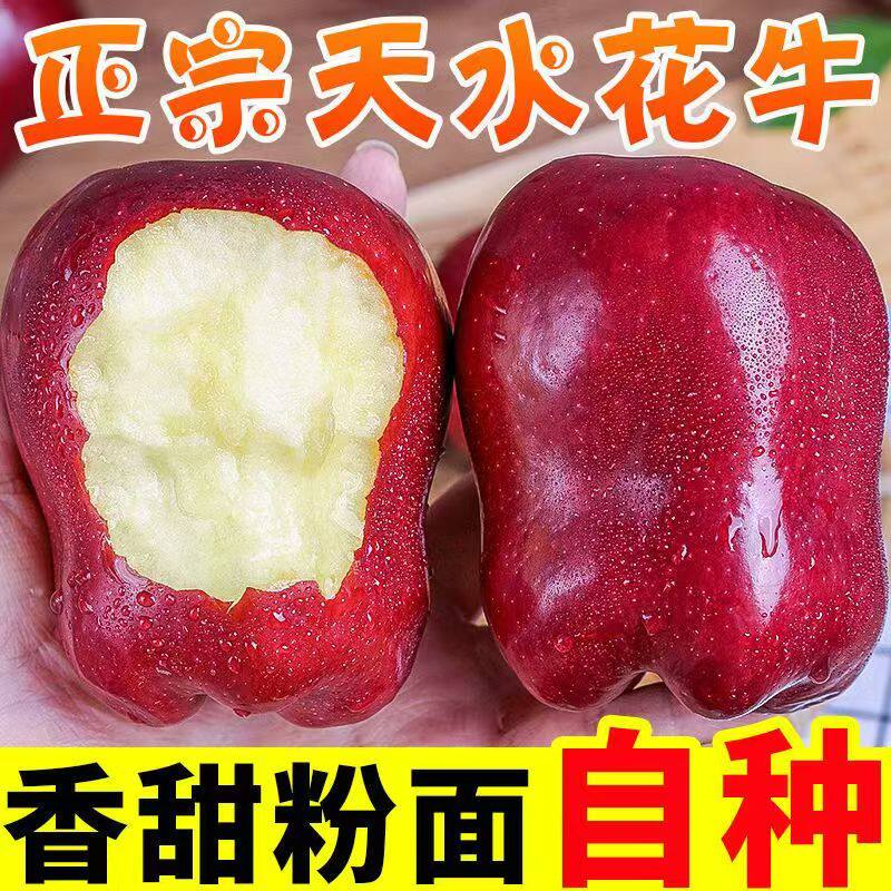 甘肃天水花牛苹果整箱新鲜当季孕妇水果正宗红蛇粉面平果包邮