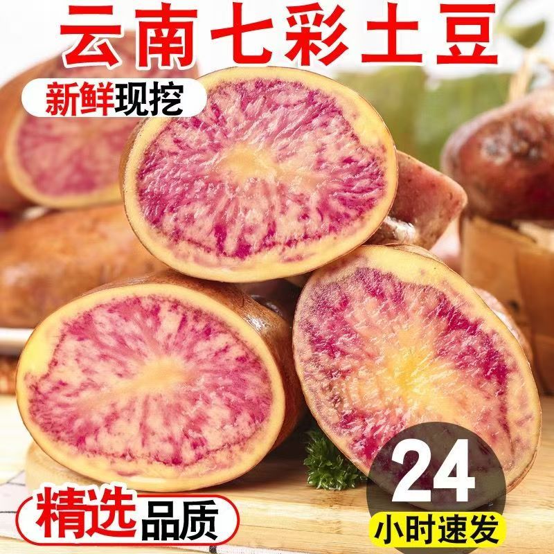 云南新鲜七彩土豆紫心花心洋芋红皮红心大土豆五花现挖马铃薯