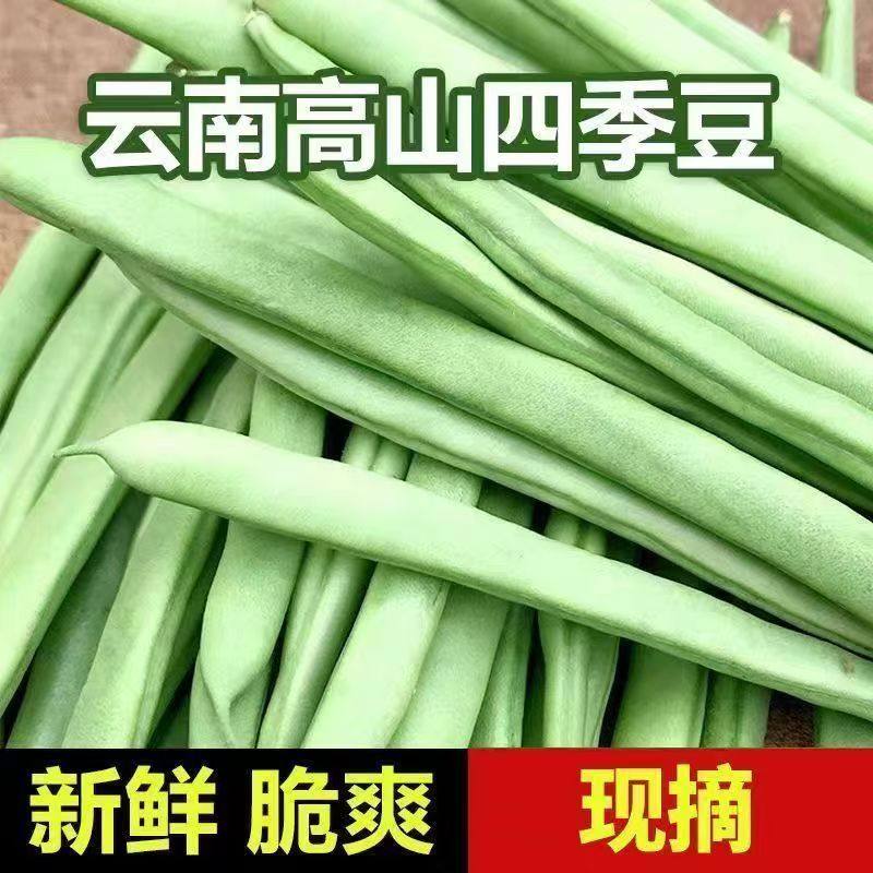 云南现摘四季豆豆角芸豆非扁豆应季新鲜蔬菜菜豆整箱批发包邮价,水产肉类/新鲜蔬果/熟食,新鲜豆类,淘宝优惠券,粉丝福利购,淘宝优惠卷