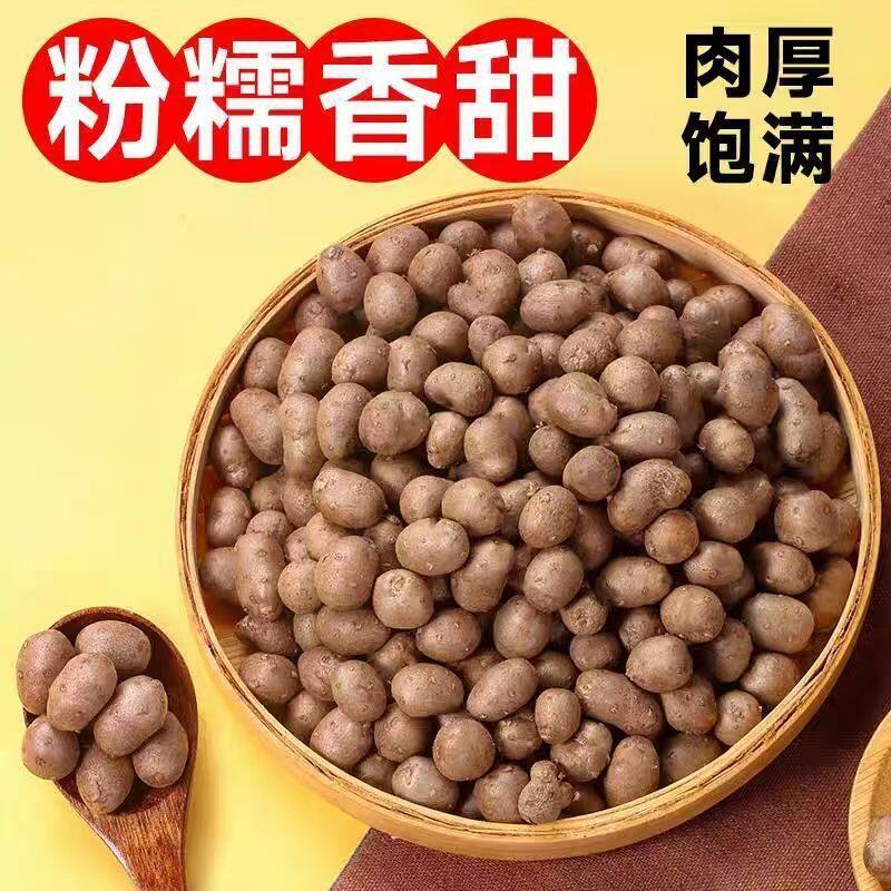 河北正宗铁棍山药豆2026新货粉糯铁棍山药蛋小号新鲜5斤产地发