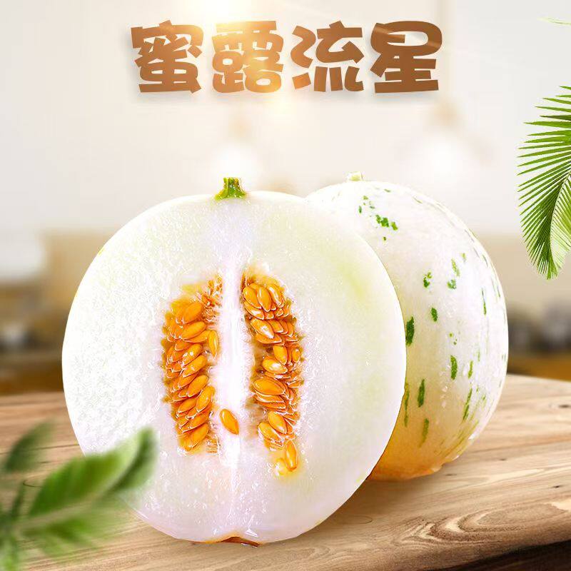 山东蜜露流星甜瓜当季水果蜜露蜜瓜包邮新鲜水果蜜露甜瓜5斤包邮