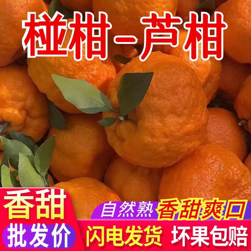 正宗四川椪柑芦柑橘子新鲜柑橘现摘发货整箱10斤当季孕妇水果包邮,水产肉类/新鲜蔬果/熟食,桔子,淘宝优惠券,粉丝福利购,淘宝优惠卷