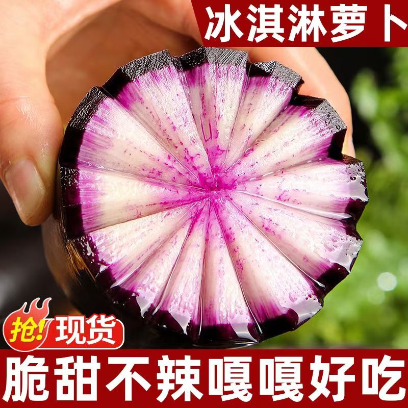 山东潍坊冰淇淋水果萝卜现挖冰激凌红冰糖心青萝卜甜脆型生吃