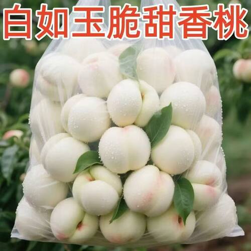山西奶油白桃新鲜水果脆甜白玉水蜜桃孕妇桃子现摘软大毛桃冬5斤