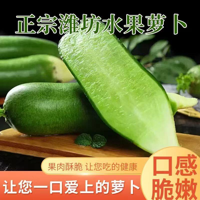 潍坊青萝卜水果萝卜甜脆潍县沙窝萝卜潍坊农科院基地正宗当季蔬菜