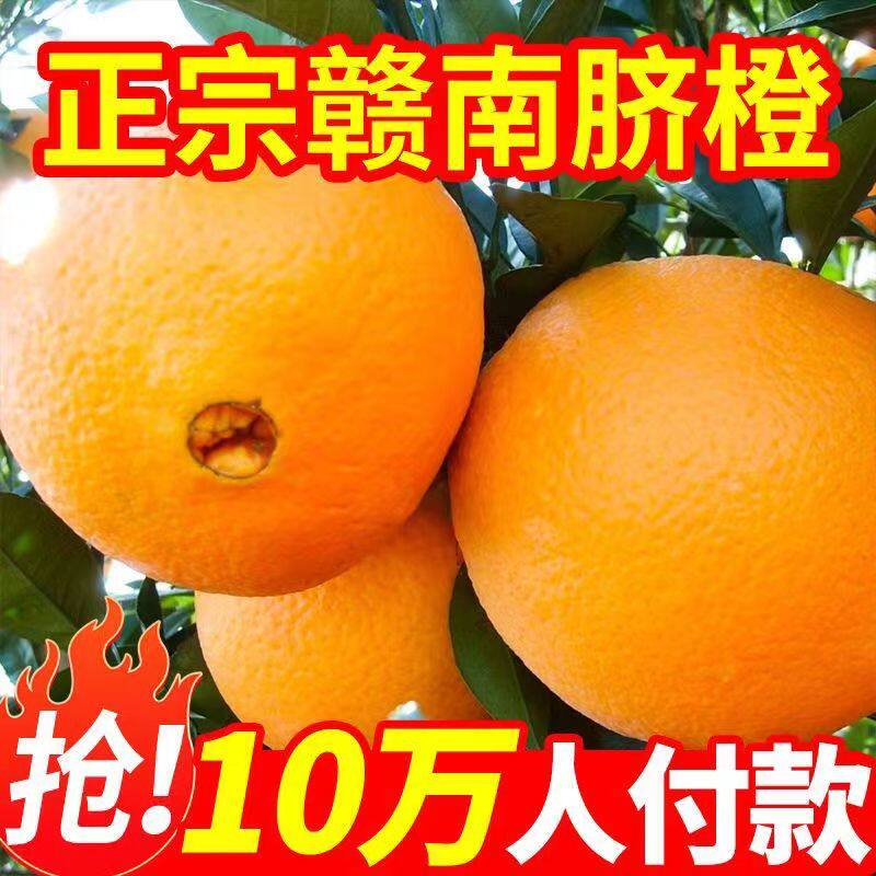 顺丰江西正宗赣南脐橙新鲜橙子赣州当季水果整箱冻橙手剥冰糖甜橙