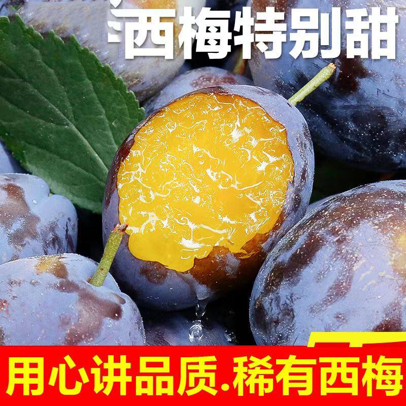 正宗西梅水果新鲜蓝蜜西梅孕妇宝宝辅食新鲜甜布林包邮