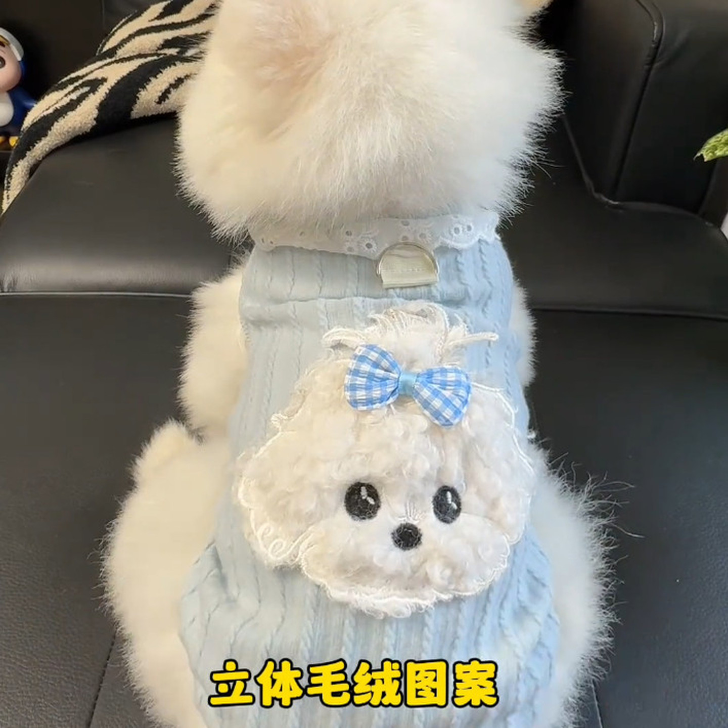 泰迪熊宠物衣服春秋款宠物背心小狗猫猫咪蕾丝花边狗狗布偶猫衣服