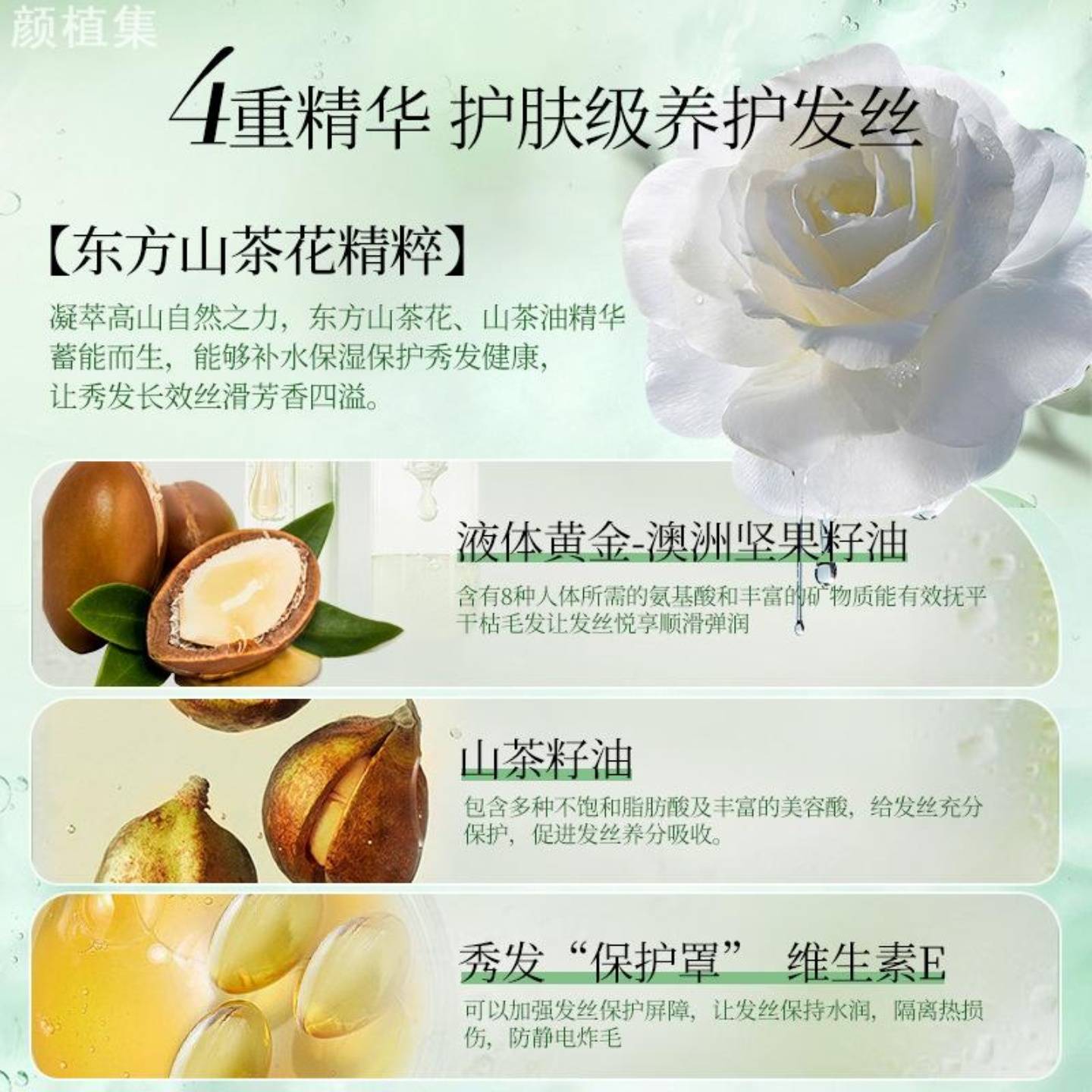 霸王山茶花焕活护发精油喷雾防