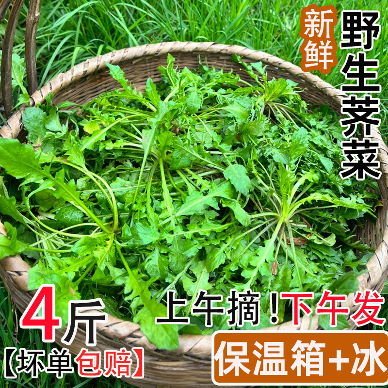 【顺丰包邮】新鲜野生荠菜