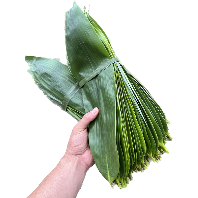 新鲜粽叶粽叶免邮新鲜大100片商用特大箬叶干粽叶批发非芦苇现摘
