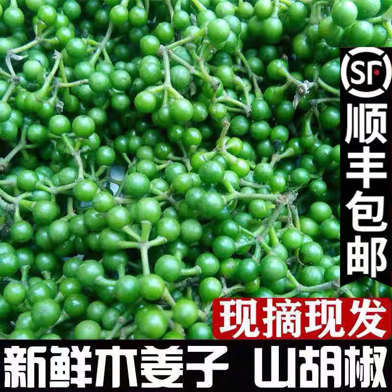 新鲜山胡椒野生木姜子江西现摘山仓子做菜配料调料农夫深山采鲜果