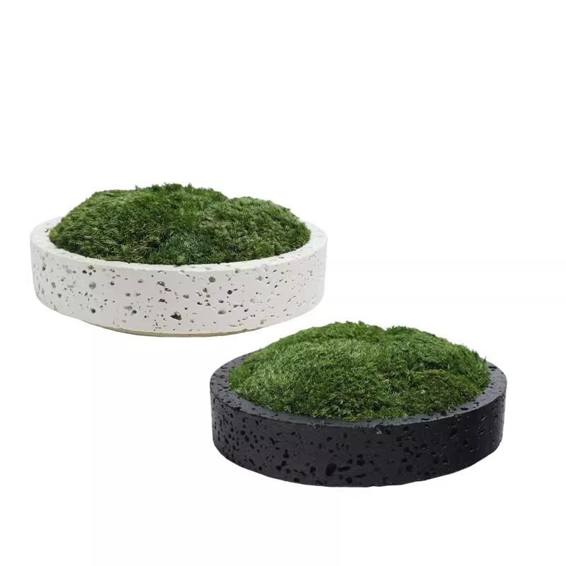 简约现代黑色花盆摆件仿真青苔绿植装饰客厅桌面酒店永生苔藓摆件