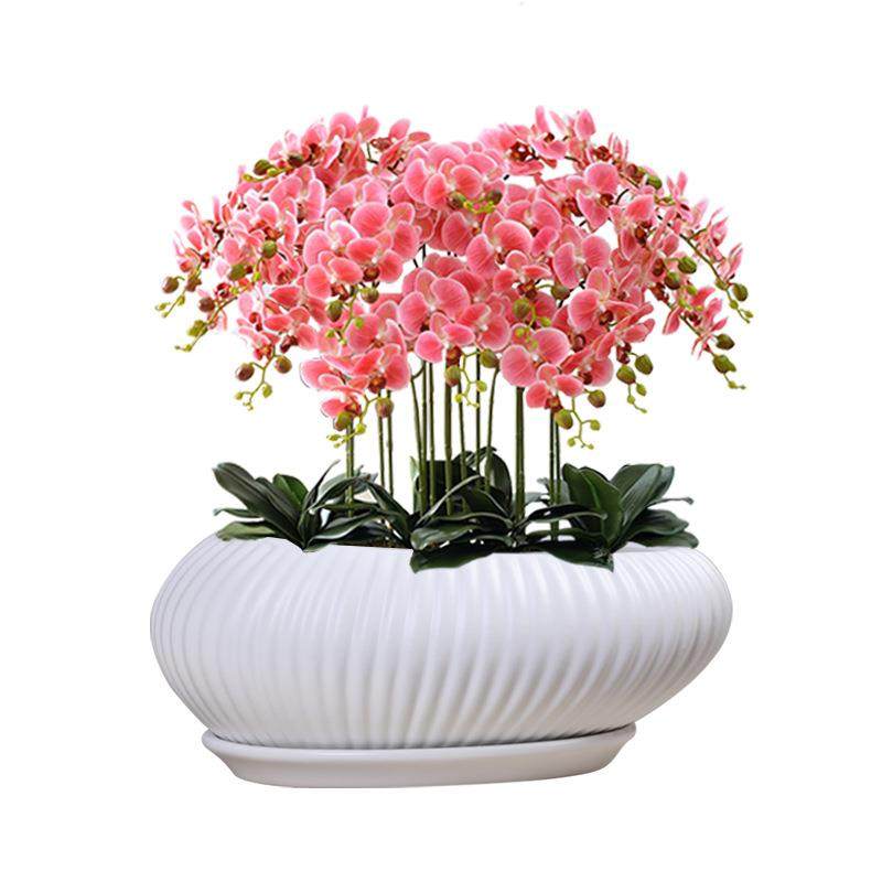 蝴蝶兰陶瓷花盆特大号家用兰花绿植简约亚白色阳台客厅盆景带托盘,家居饰品,花盆,淘宝优惠券,粉丝福利购,淘宝优惠卷