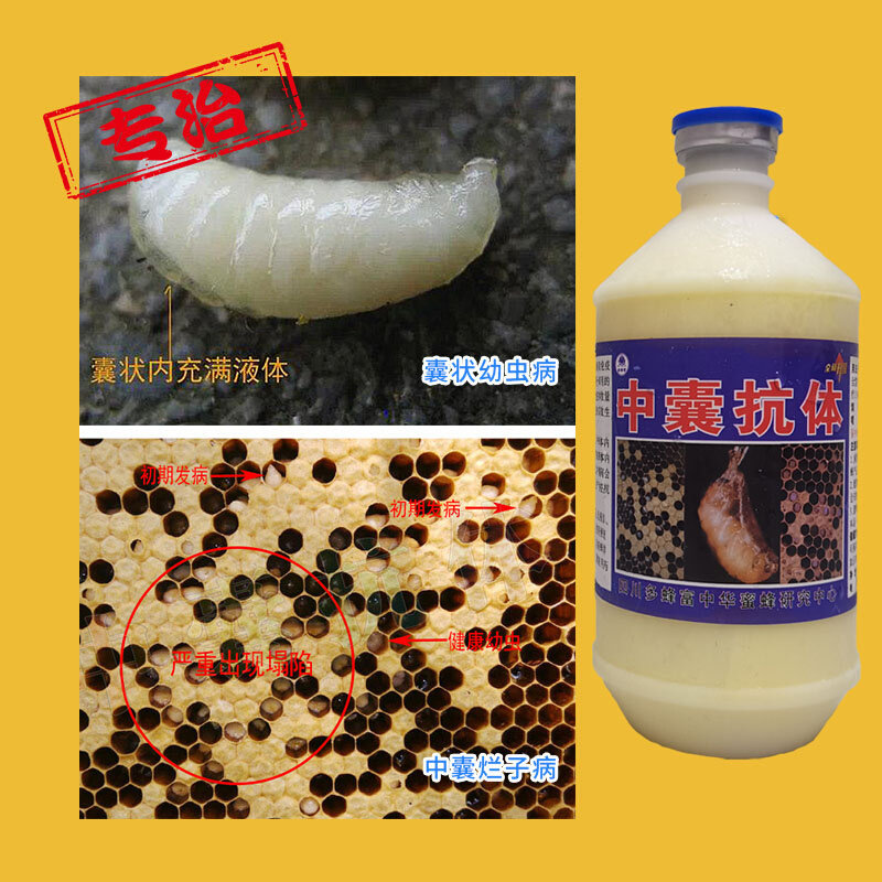 500ml 中蜂烂子病蜜蜂囊状幼虫病烂子灵蜂箱蜂具蜂药