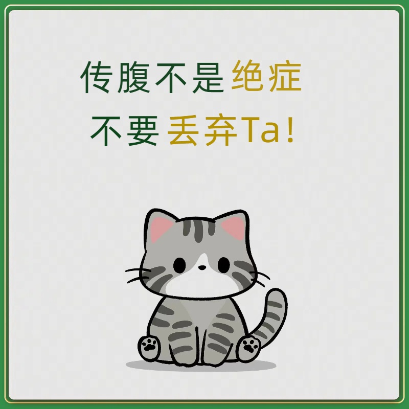 猫咪传腹针剂口服片剂