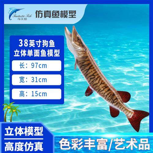 狗鱼立体单面室内装饰玻璃钢雕塑海洋工艺品墙壁挂饰仿真鱼模型