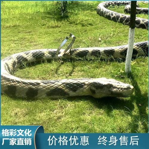 仿真蟒蛇模型动物园博物馆户外园林景观装饰十二生肖动物模型厂家