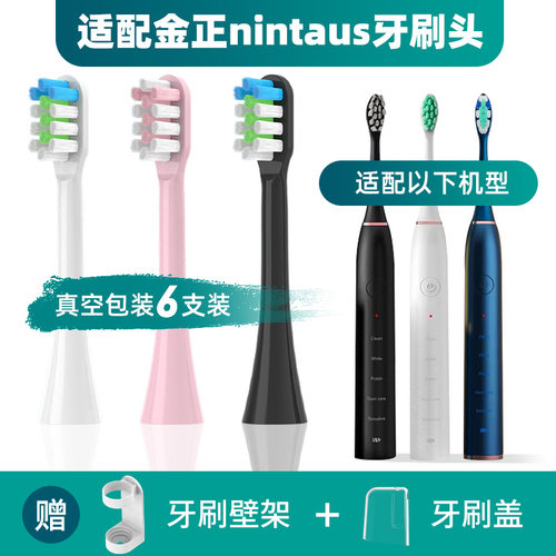 适配金正电动牙刷头nintausJZ-X5/X2替换情侣牙刷头成人JZD10