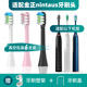 适配金正电动牙刷头nintausJZ X2替换情侣牙刷头成人JZD10